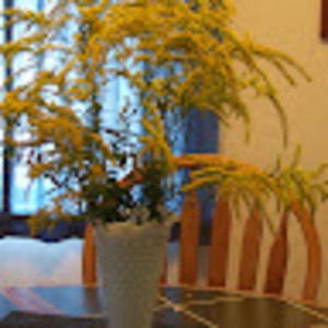 Meet your Posher, Claudia